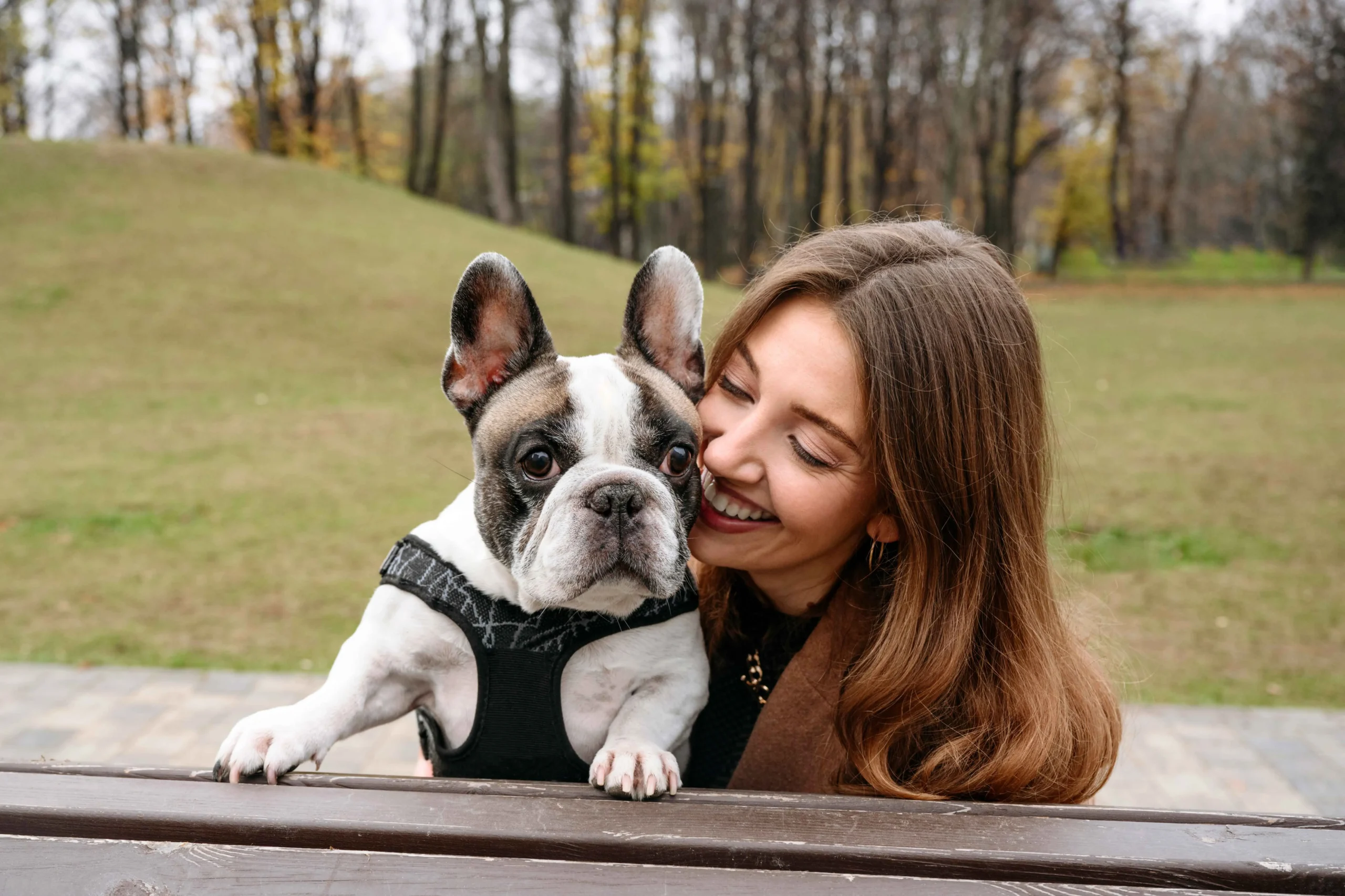 Frenchie Passion